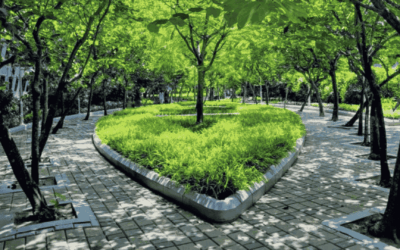 Why Green Spaces Matter in Modern Residential Communities