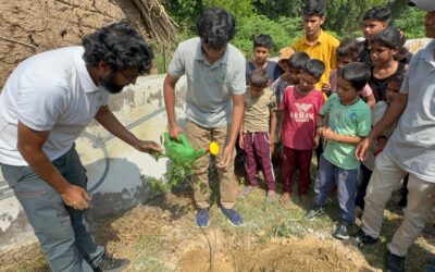 How The Nest Homes Give Back to the Planet