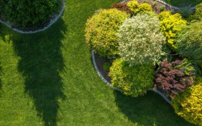 The Relationship Between Architecture and Landscape: Designing Homes That Belong to Their Surroundings